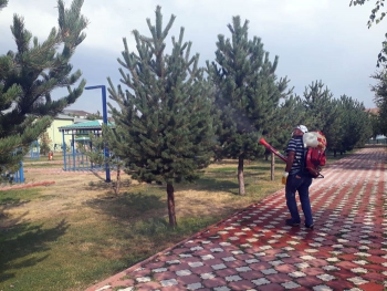 Aziziye Belediyesinden çevre seferberliği