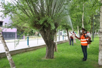 Aziziye’de haşerelere geçit yok