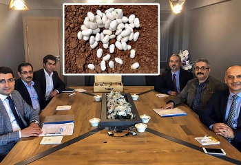 Bombay fasulyesinin tescil işlemlerine başlandı