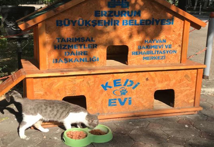 Büyükşehir’den 68 Noktaya Kedi Evi 