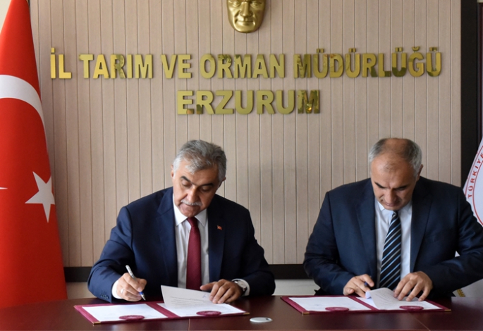 Büyükşehir’den Arıcılığın gelişimi için proje