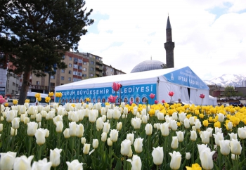 Büyükşehir’den Erzurum’a estetik dokunuş   