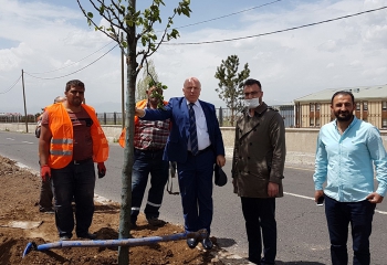 Büyükşehir’den Erzurum’a yemyeşil yatırım
