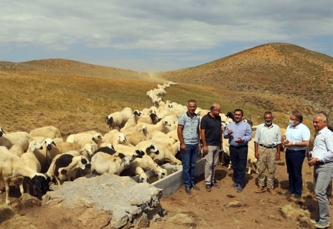 DAP Başkanı Demiröğen, Çekem yaylasında
