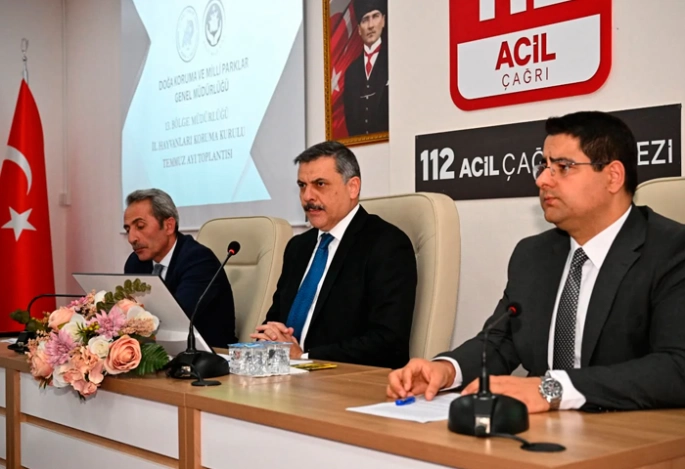 Erzurum’da sokak hayvanları mercek altında