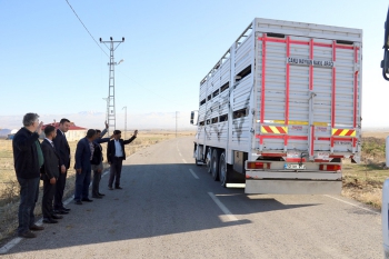 Erzurum’dan Katar’a küçükbaş hayvan ihracatı