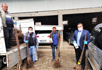 Erzurumlu çiftçiye tohum desteği