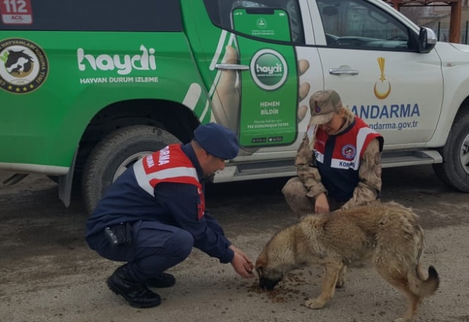 Jandarma yaban hayatı unutmadı