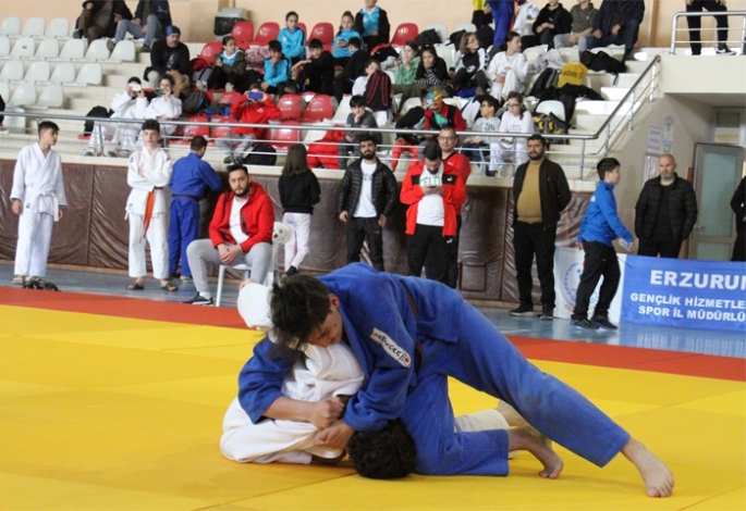 Judoda ANALİG heyecanı sona erdi