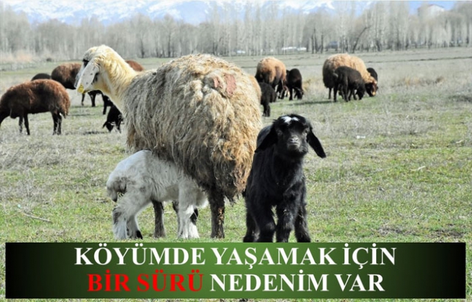 “Köyümde Yaşamak İçin Nedenim Var” projesi başladı