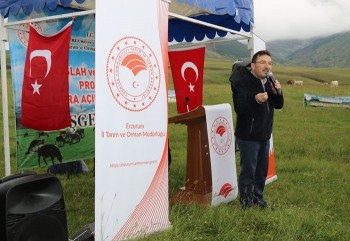 Mera ıslahı hayvancılığı geliştirecek