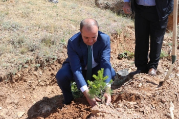 Narman’da 251 şehit anısına 251 çam fidanı dikildi