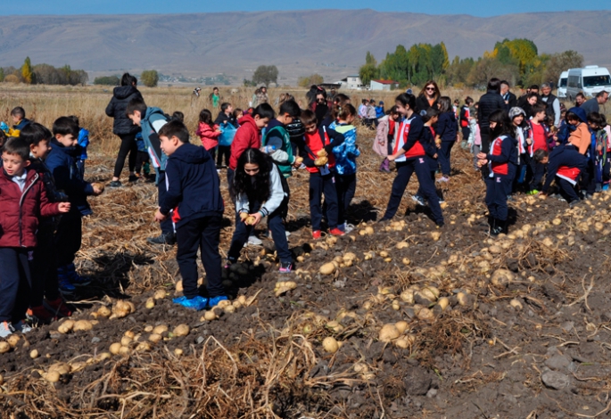 Oral, miniklerle patates hasadına katıldı