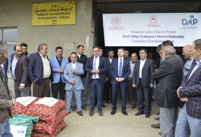 Pasinler’de 75 ton patates tohumu dağıtıldı
