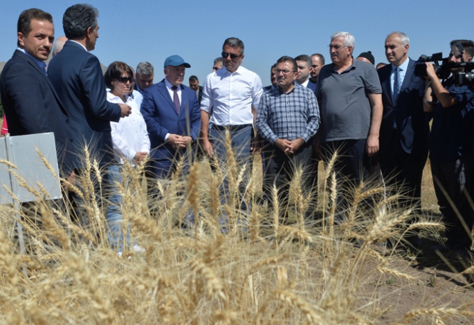 Pasinler Ovasında hasad başladı
