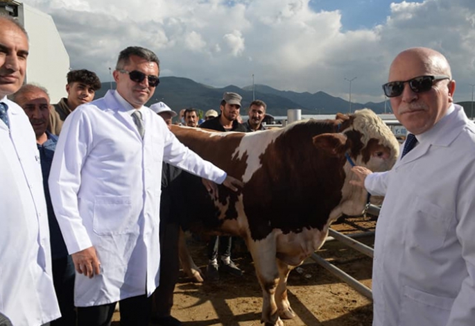 Vali Memiş kurban pazarını gezdi