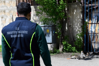 Yakutiye’den örnek davranış, sokak hayvanlarını  unutmadı