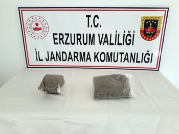 Yolcunun sırt çantasında bonzai ele geçirildi