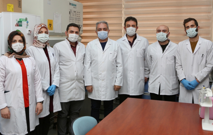 Zararlı olmayan Bakteri türü keşfedildi 